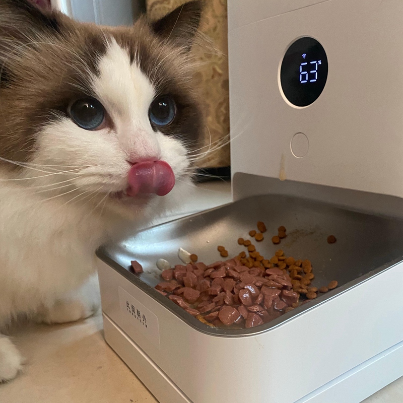 cat feeder power charger 5V.jpg